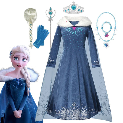 Elsa Frozen Princess Dress and Wig Options