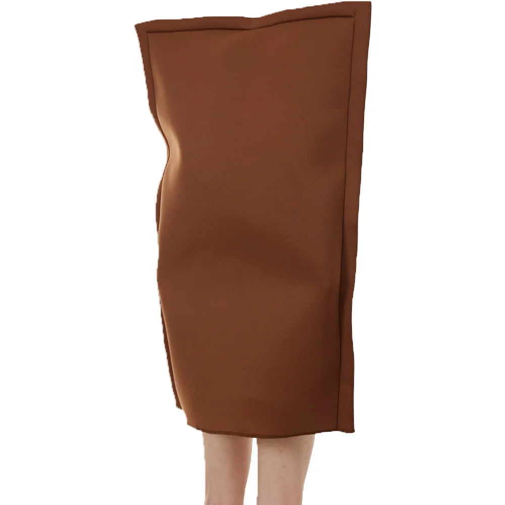 Mona Lisa Painting Costume
