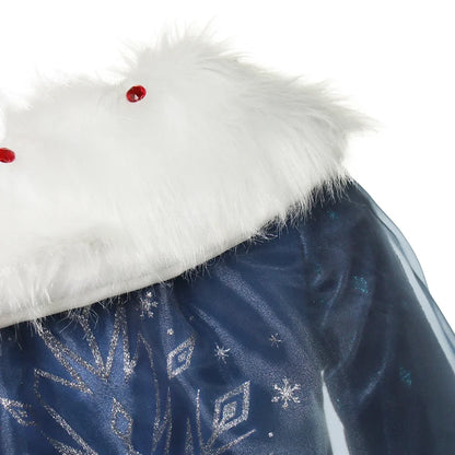 Elsa Frozen Princess Dress and Wig Options