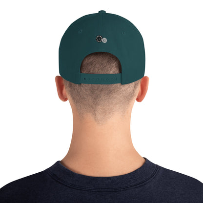 Detroit Steady Boomin | embroidered snapback
